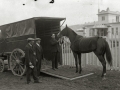 CABALLO DE CARRERAS JUNTO A UNA CAMIONETA PARA TRANSPORTARLO. (Foto 1/1)