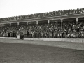 ESCENAS DE LAS CARRERAS DE CABALLOS EN EL HIPODROMO DE LASARTE. (Foto 20/27)