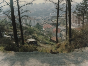 Casas de Bordaenea y del Olano desde Mendiola