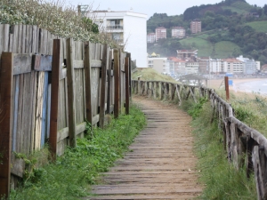 Zarauzko biotopoa.