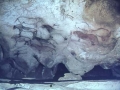 Gran panel de pinturas rupestres de caballos en la cueva de Ekain