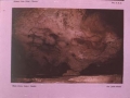 Reproducción de pinturas rupestres de caballos en la cueva de Ekain