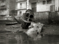 RESTOS DE UN NAUGRAGIO EN EL PUERTO DE PASAIA. (Foto 2/3)