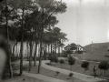 VISTA DEL CAMPO DE GOLF DE ZARAUTZ. (Foto 2/2)