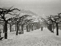 VISTAS DE SAN SEBASTIAN NEVADO. (Foto 16/46)