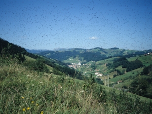 Zaldibiako herri eta inguruko mendien ikuspegi panoramikoa