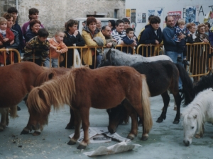 Umeentzako pottokak Santa Fe jaietan